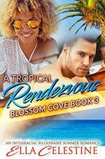 A Tropical Rendezvous: An Interracial Billionaire Summer Romance