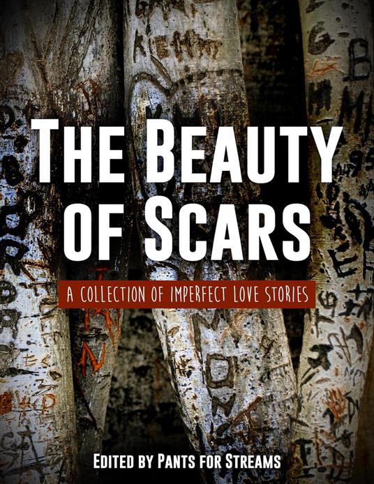 The Beauty of Scars