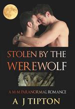 Stolen by the Werewolf: A M-M Paranormal Romance