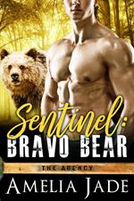 Sentinel: Bravo Bear