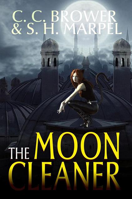 The Moon Cleaner
