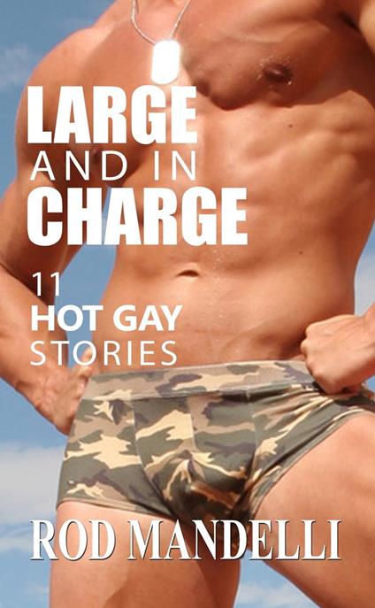 Large and in Charge! 11 Hot Gay Stories
