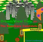 Dream View Two -- The Kamikaze Candidate