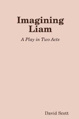 Imagining Liam - David Scott - cover