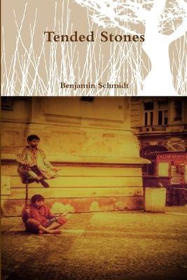 Tended Stones - Benjamin Schmidt - cover
