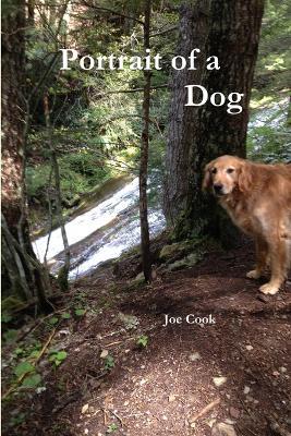 Portrait of a Dog - Joe Cook - cover