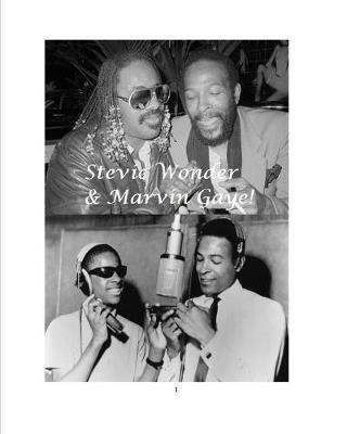 Stevie Wonder & Marvin Gaye! - Steven King - cover