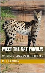 Meet the Cat Family!: Africa's Other Cats