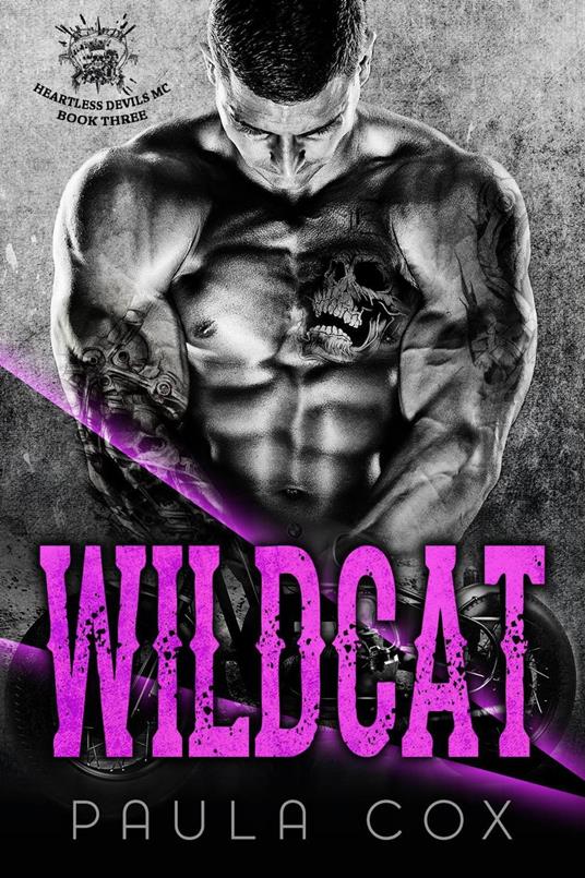 Wildcat (Book 3)