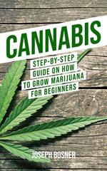 Cannabis: Step-By-Step Guide on How to Grow Marijuana for Beginners