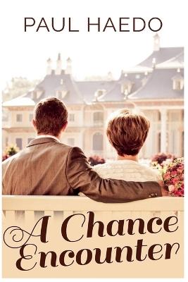 A Chance Encounter - Paul Haedo - cover