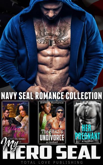 My Hero SEAL : Navy Seal Romance Collection