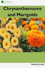 Chrysanthemums and Marigolds