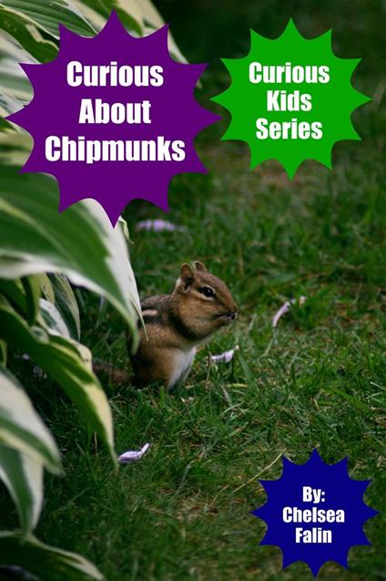 Curious About Chipmunks - Chelsea Falin - ebook