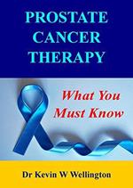 Prostate Cancer Therapy - What You Must Know
