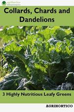 Collards, Chards and Dandelions: 3 Highly Nutritious Leafy Greens