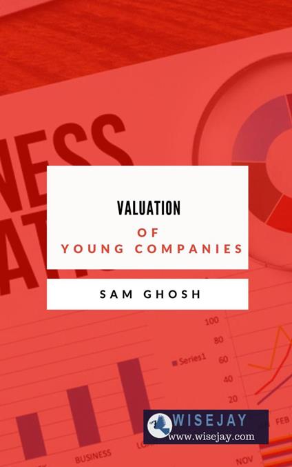 Valuation of Young Companies
