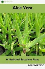 Aloe Vera: A Medicinal Succulent Plant