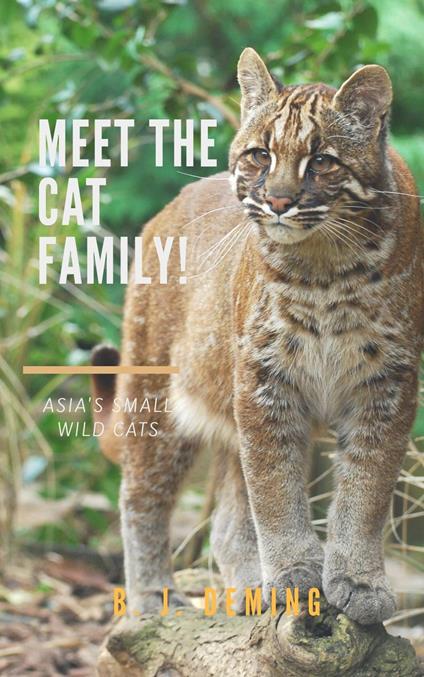 Meet the Cat Family!: Asia's Small Wild Cats