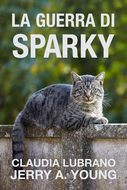 La Guerra di Sparky - Jerry A. Young - ebook