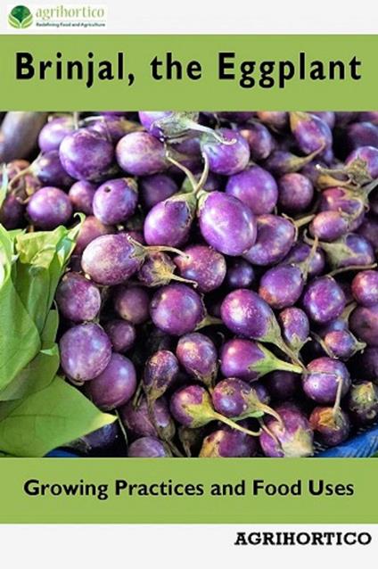 Brinjals the Eggplant: Growing Practices and Food Uses