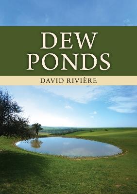 Dew Ponds - David Rivière - cover