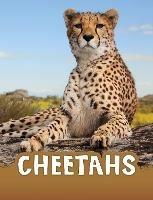 Cheetahs - Jaclyn Jaycox - cover