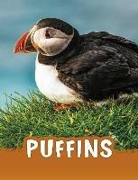 Puffins - Jaclyn Jaycox - cover