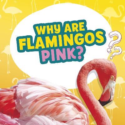 Why Are Flamingos Pink? - Nancy Dickmann - cover