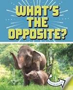 What's the Opposite?: A Turn-and-See Book