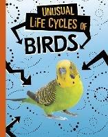 Unusual Life Cycles of Birds - Jaclyn Jaycox - cover