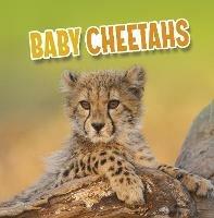 Baby Cheetahs - Martha E. H. Rustad - cover
