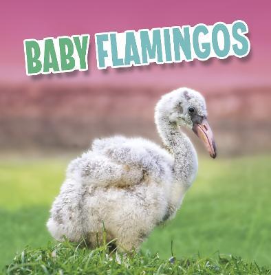 Baby Flamingos - Martha E. H. Rustad - cover