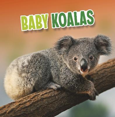 Baby Koalas - Martha E. H. Rustad - cover
