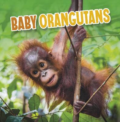 Baby Orangutans - Martha E. H. Rustad - cover