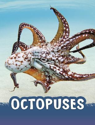 Octopuses - Jaclyn Jaycox - cover