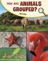 How Are Animals Grouped? - Lisa M. Bolt Simons - cover