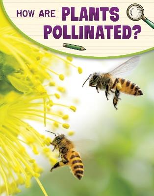 How Are Plants Pollinated? - Emily Raij - cover