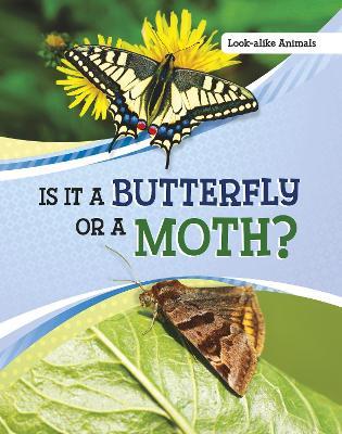 Is It a Butterfly or a Moth? - Susan B. Katz - cover