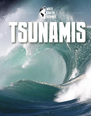 Tsunamis - Isaac Kerry - cover