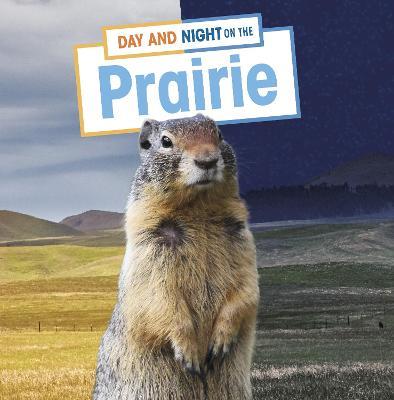 Day and Night on the Prairie - Ellen Labrecque - cover
