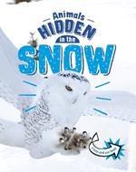 Animals Hidden in the Snow