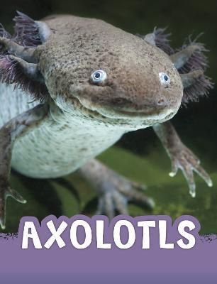Axolotls - Jaclyn Jaycox - cover