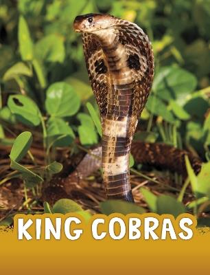 King Cobras - Jaclyn Jaycox - cover