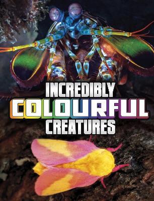 Incredibly Colourful Creatures - Megan Cooley Peterson - cover