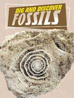 Dig and Discover Fossils