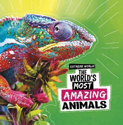 The World's Most Amazing Animals - Cari Meister - cover