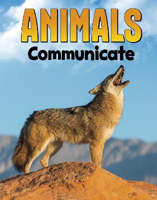 Animals Communicate - Nadia Ali - cover