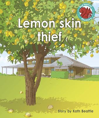 Lemon skin thief - Kath Beattie - cover