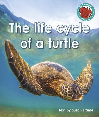 The life cycle of a turtle - Susan Frame - cover
